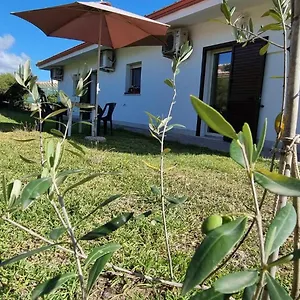 https://villa-red-melons.in-sardinia.net